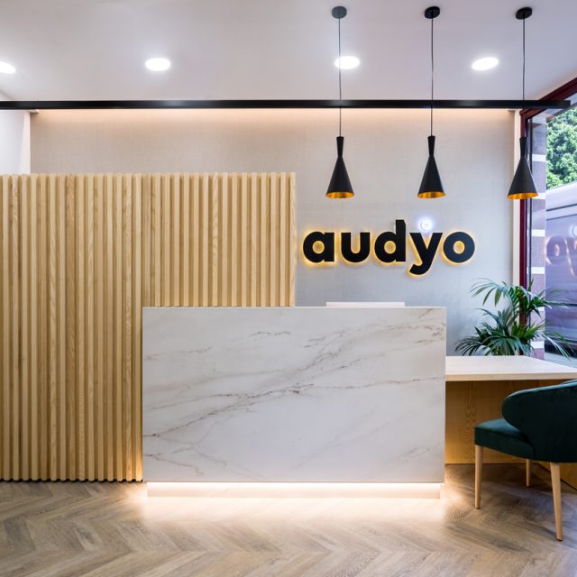 Portfolio - Audyo 01 2