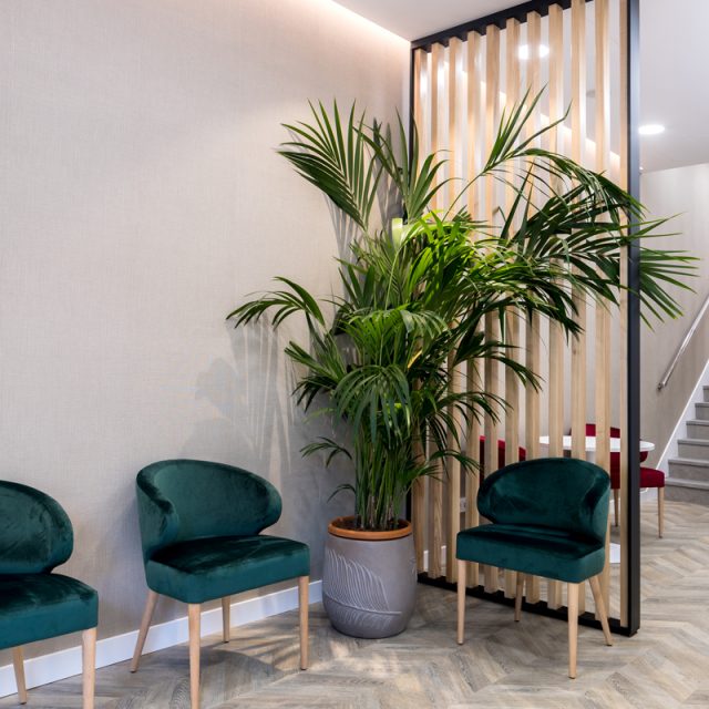 Portfolio - Audyo 05 1