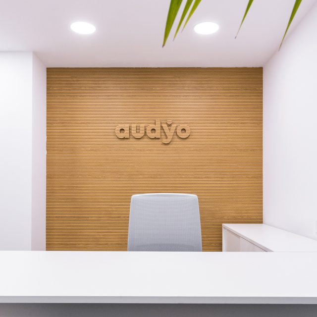 Portfolio - Audyo 09 1